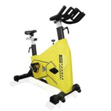 دوچرخه اسپینینگ اچلون مدل Echelon EF-1029
