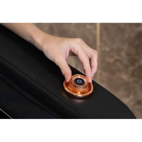 صندلی ماساژور فیت و رست مدل Fitorest Fr-lion