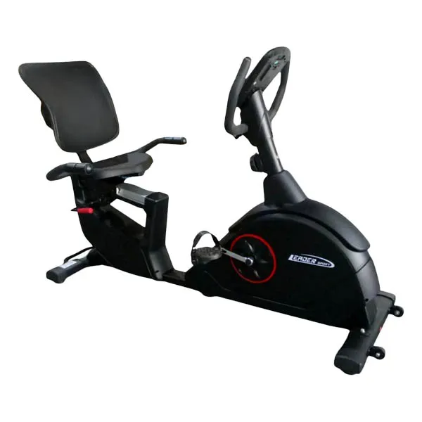 دوچرخه ثابت مبله لیدر اسپرت مدل Leader sport 87011R