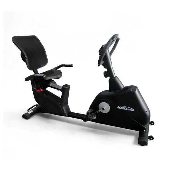 دوچرخه ثابت مبله لیدر اسپرت مدل Leader Sport 87010R
