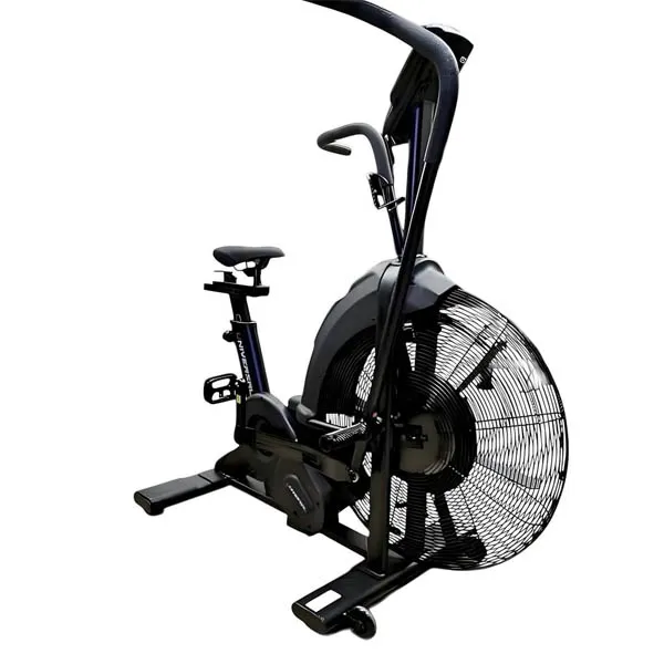 دوچرخه ایربایک باشگاهی یونیورسال مدل Universal K22699