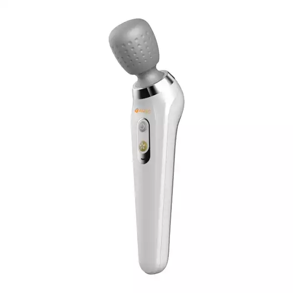 ماساژور دستی ارس مدل ARES RS H101