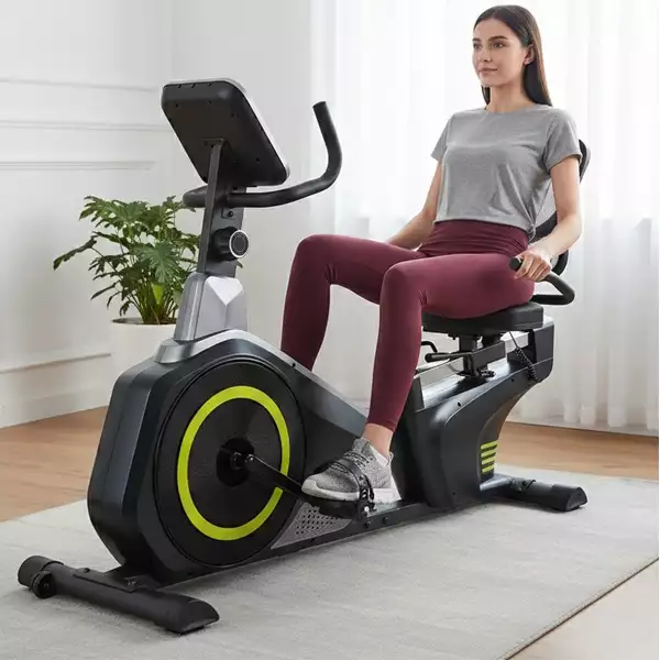 دوچرخه ثابت مبله خانگی پاژا مدل PAJA YK-10M09R