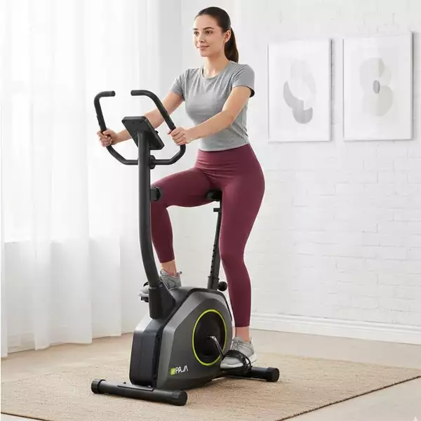 دوچرخه ثابت خانگی پاژا مدل PAJA YK-10S16B