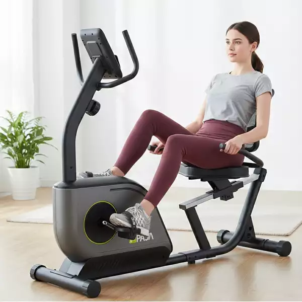 دوچرخه ثابت مبله خانگی پاژا مدل PAJA YK-10S19R