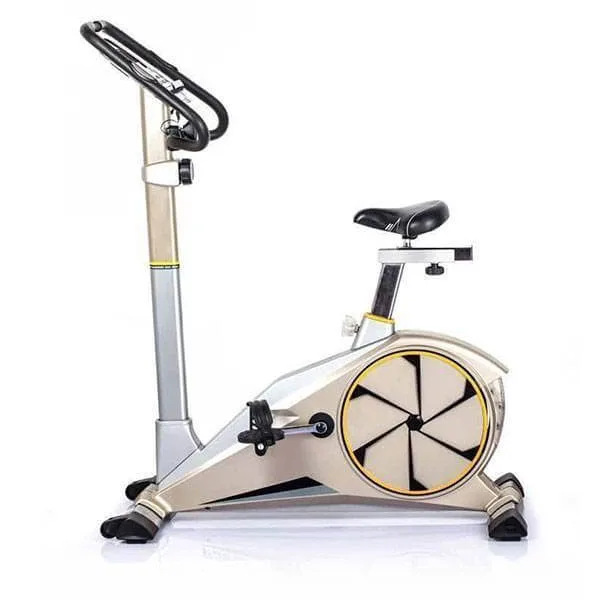 دوچرخه ثابت تایگر اسپرت مدل Tiger Sport G100