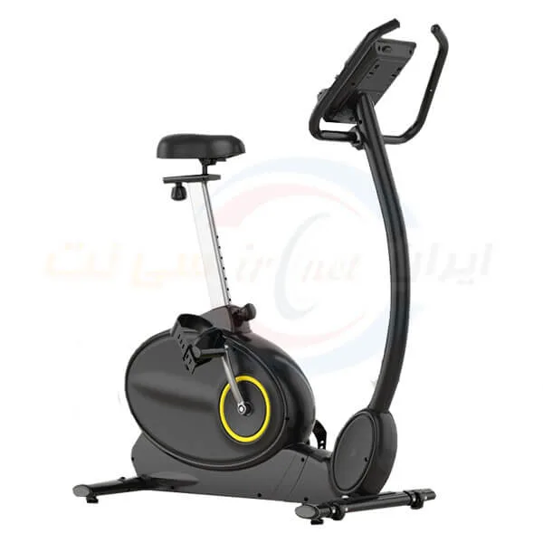 دوچرخه ثابت خانگی تایگر اسپرت مدل TS-1901