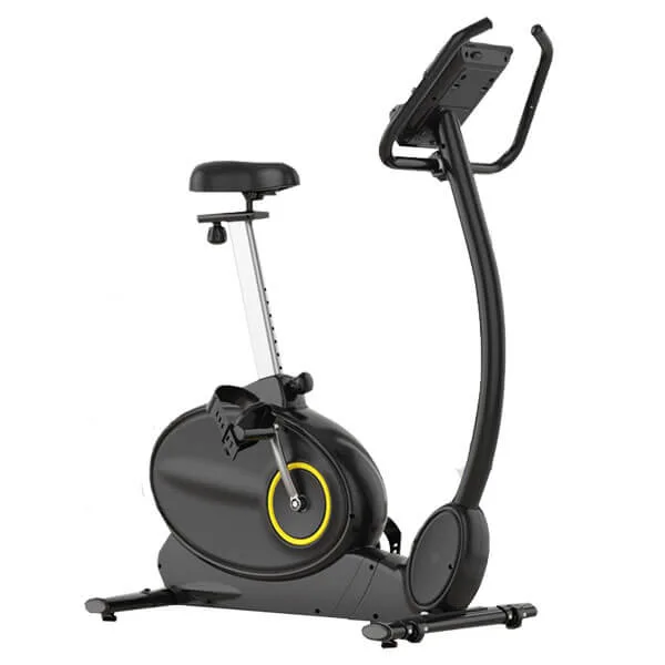 دوچرخه ثابت خانگی تایگر اسپرت مدل TS-1901